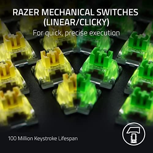 Razer BlackWidow V4