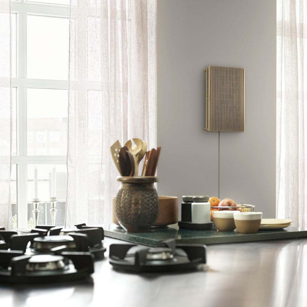 Bang & Olufsen Beosound Level Portable Wi-Fi Multiroom Speaker